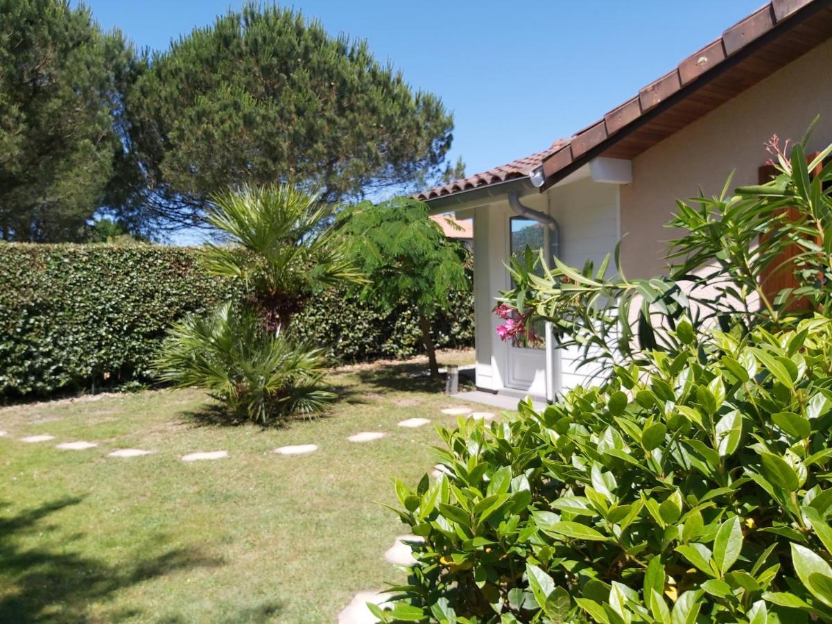 Le Soleil Couchant Angresse Exterior photo
